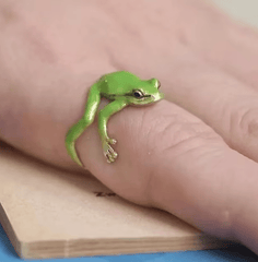 Bague Grenouille verte ajustable maman sans notice