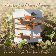 Lot de 4 Élastiques à Cheveux « Teckel » — Accessoires Chiens Mignons maman sans notice