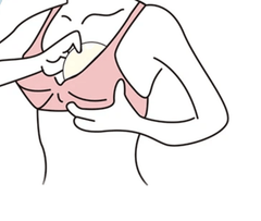 Paire de coussinets d'allaitement mamansansnotice