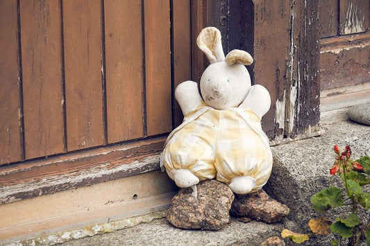 Mon enfant ne veut plus de son doudou, pas facile pour une maman sans notice